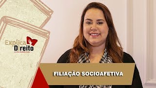 Explica Direito Filiação Socioafetiva  2019 [upl. by Anitsirhcairam]