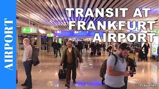 TRANSIT WALK AT FRANKFURT Airport FRA Terminal 1  Connection Flight Transfer Arriving amp Departing [upl. by Russom892]